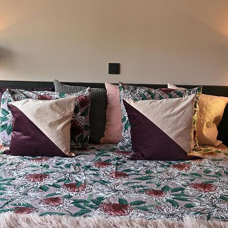 Nova Zembla Bed and Breakfast Mechelen Exteriör bild